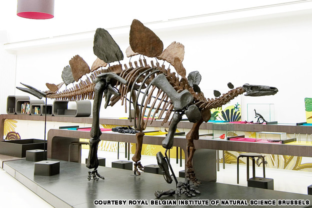 10 viện bảo t&agrave;ng khủng long r&ugrave;ng rợn nhất